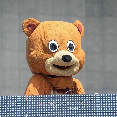 Bear Grillz
