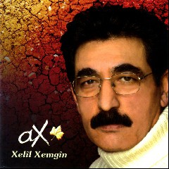 Xelîl Xemgîn