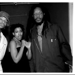 Bongo Maffin