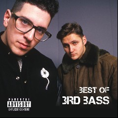 Third Bass