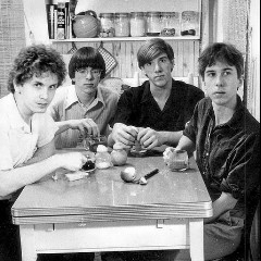 The Feelies