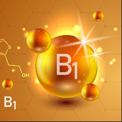 B1