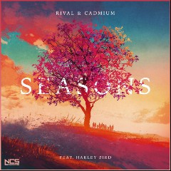 Rival X Cadmium