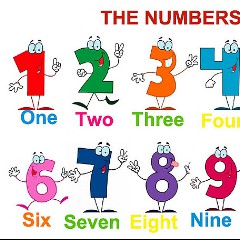 Numbers