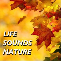 Life Sounds Nature