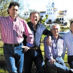Amigos de Gines