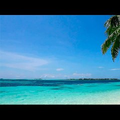 Meeresrauschen Tropischen Strand