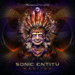 Sonic Entity