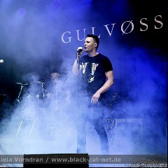 GULVØSS