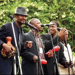 The Afrigo Band