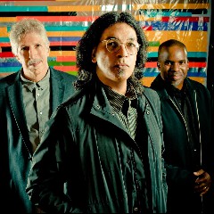 Yellowjackets