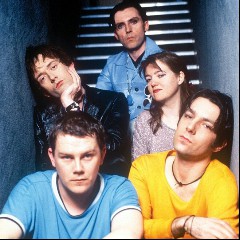 Pulp