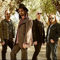 Mike Campbell & The Dirty Knobs