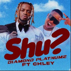 Diamond Platnumz Ft Chley