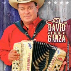 David Lee Garza