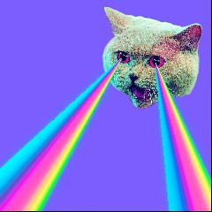 Technocat