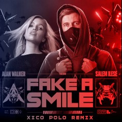 Alan Walker feat. salem ilese