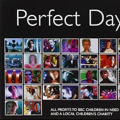 Perfect Day531e784a