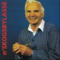 'n Skogsbylasse