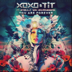 XOXO /T.I.T/BITKIT