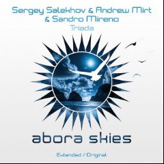 Sergey Salekhov & Andrew Mirt