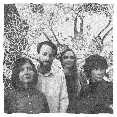 The Furrow Collective