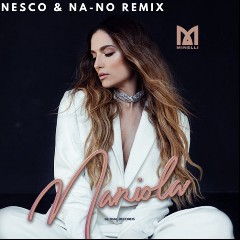 Nesco & NA-NO