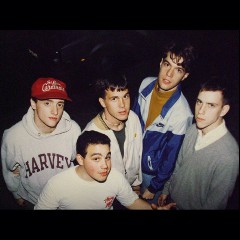 Gorilla Biscuits