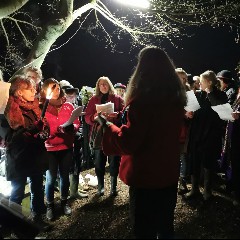 The Wilds Choir