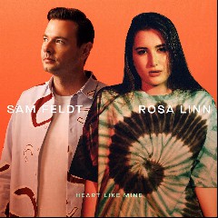 Sam Feldt & Sigma