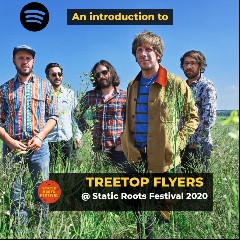 Treetop Flyers