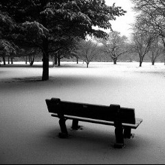Wintersilence