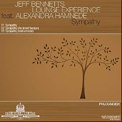 Jeff Bennett's Lounge Experience