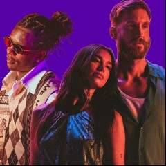 Calvin Harris x Dua Lipa x Young Thug