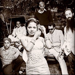 Dengue Fever