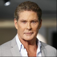 The Sneepers feat. David Hasselhoff