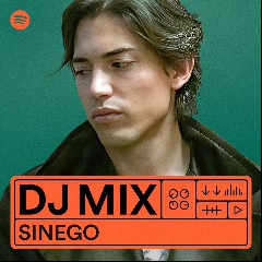 Sinego