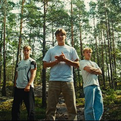 Fjellrev