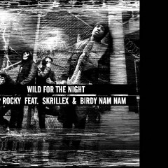 A$AP Rocky feat. Skrillex & Birdy Nam Nam