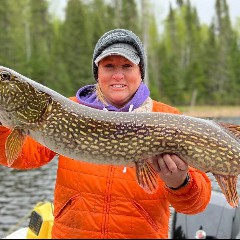 Pike