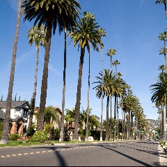 Beverly Hills