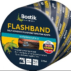 Flash Band
