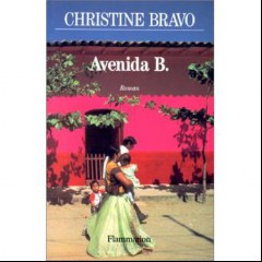 Avenida B