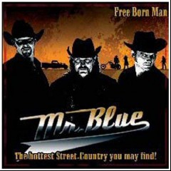 Mr. Blue