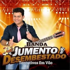Banda Jumento Desembestado