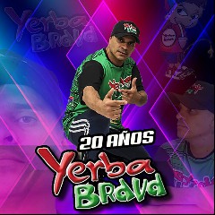 Yerba Brava