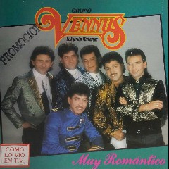 Grupo Vennus