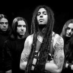 Shadows Fall
