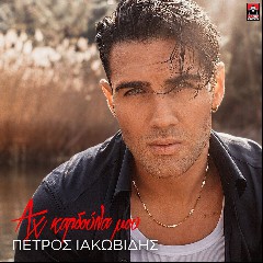 IAKOVIDHS PETROS