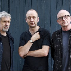 The Necks